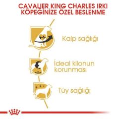 Royal Canin Cavalier King Charles  Yetişkin Köpek Maması 3 Kg