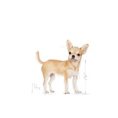 Royal Canin Chihuahua Irkı Köpek Maması 85g (12Adet x 85 Gr)