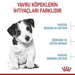 Royal Canin Mini Puppy Köpek Maması 4 Kg