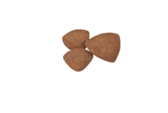 Royal Canin Mini Puppy Köpek Maması 4 Kg