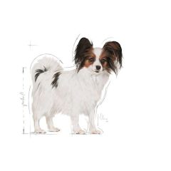 Royal Canin X-small Adult Yetişkin Köpek Maması 1,5 Kg