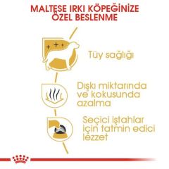 Royal Canin Maltese  Yetişkin Köpek Maması 1,5 Kg