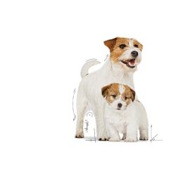 Royal Canin Starter Mousse Anne ve Yavruları İçin Köpek Konservesi 195 Gr
