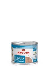 Royal Canin Starter Mousse Anne ve Yavruları İçin Köpek Konservesi 195 Gr