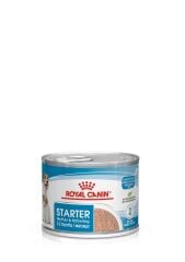 Royal Canin Starter Mousse Anne ve Yavruları İçin Köpek Konservesi 195 Gr