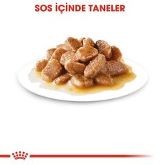 Royal Canin Pouch Mini Adult Köpek Yaş Maması 85 Gr (12 Adetx85 Gr)