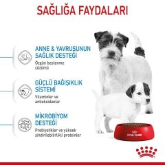 Royal Canin Mini Starter Köpek Maması 4 Kg