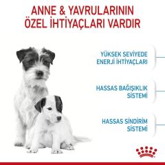 Royal Canin Mini Starter Köpek Maması 4 Kg