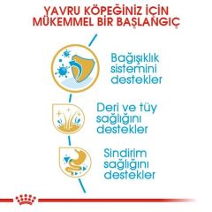 Royal Canin Puppy Yorkshire Terrier Yavru Köpek Maması 1,5 Kg