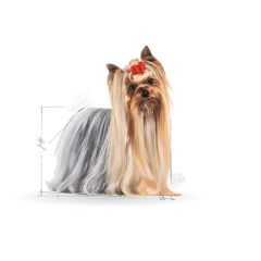 Royal Canin Yorkshire Terrier Irkı Köpek Maması 85G (12 Adet x 85 Gr)