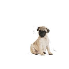 Royal Canin Pug Junior Yavru Köpek Maması 1,5 Kg