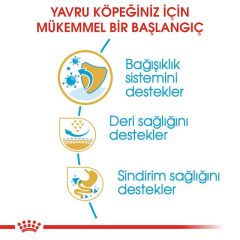 Royal Canin Pug Junior Yavru Köpek Maması 1,5 Kg