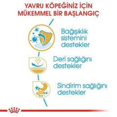 Royal Canin Pug Junior Yavru Köpek Maması 1,5 Kg