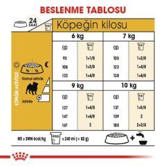 Royal Canin Pug Adult 1,5 Kg