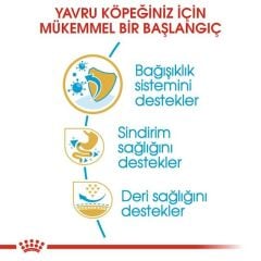 Royal Canin French Bulldog Junior Yavru Köpek Maması 3 Kg