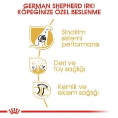 Royal Canin Germen Shephert Adult Alman Kurtları için Yetişkin Köpek Maması 11 Kg