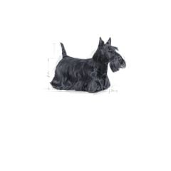 Royal Canin Ccn Mini Derma Yetişkin Köpek Maması 3kg