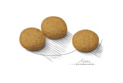 Royal Canin Maxi Dermacomfort Köpek Maması 12 Kg