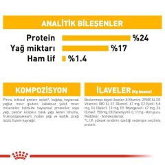 Royal Canin Medium Dermacomfort Köpek Maması 12 Kg