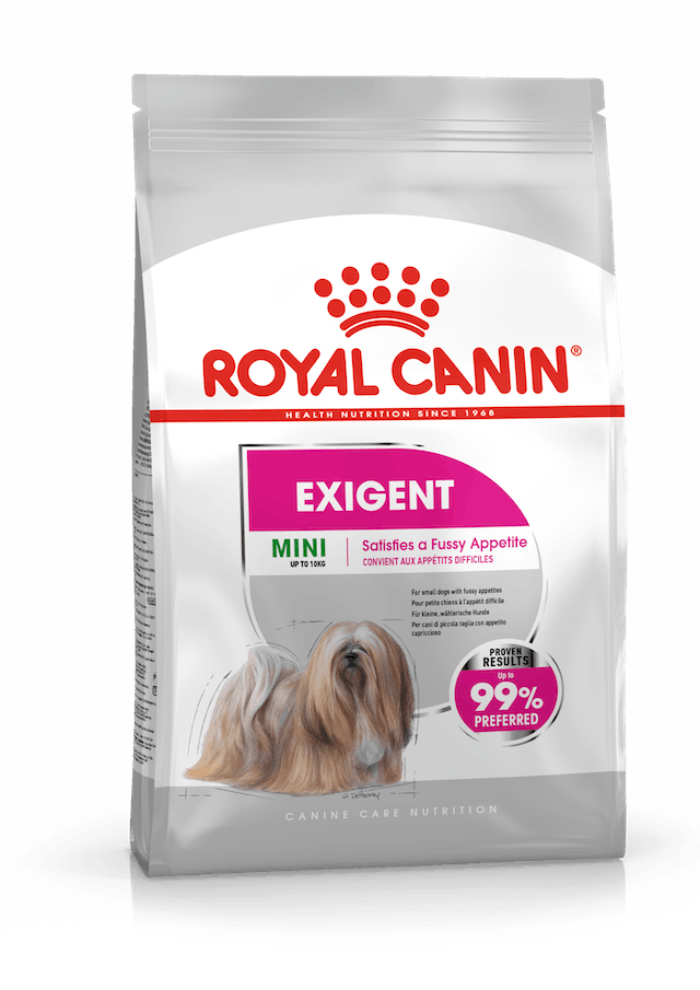 Royal Canin CCN Mini Exigent Köpek Maması 3 Kg