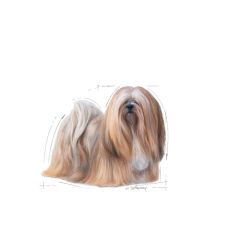 Royal Canin CCN Mini Exigent Köpek Maması 3 Kg