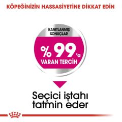 Royal Canin CCN Mini Exigent Köpek Maması 3 Kg