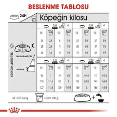 Royal Canin Ccn Mini Light Weight Care Yetişkin Köpek Maması 3Kg