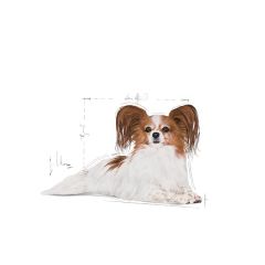 Royal Canin X-SMALL Ageing 12+ Köpek Konservesi 1.5 Kg