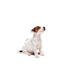 Royal Canin Pouch Puppy Mini Yavru Köpek Yaş Maması 85 Gr (12 Adet x 85 Gr)