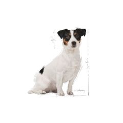 Royal Canin Mini Adult 8+ Yaş İçin Küçük İrk Köpek Maması 2 Kg