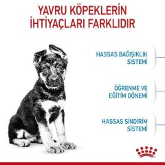 Royal Canin Maxi Puppy Büyük Irk Yavru Köpek Maması 15 Kg
